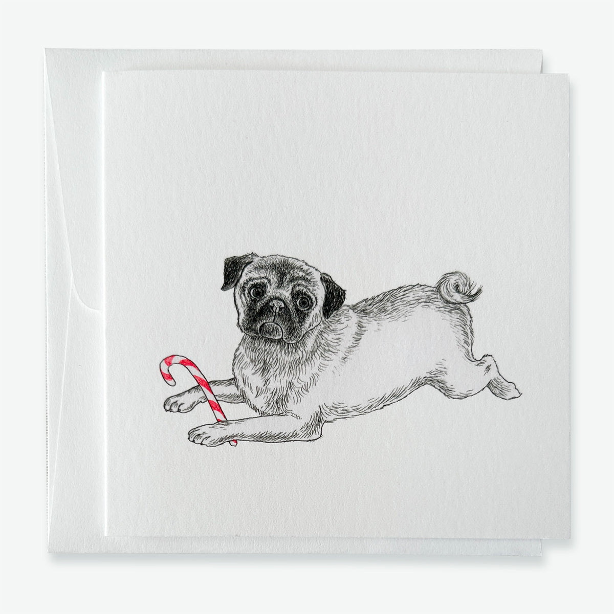 Brutus and the Candy Cane