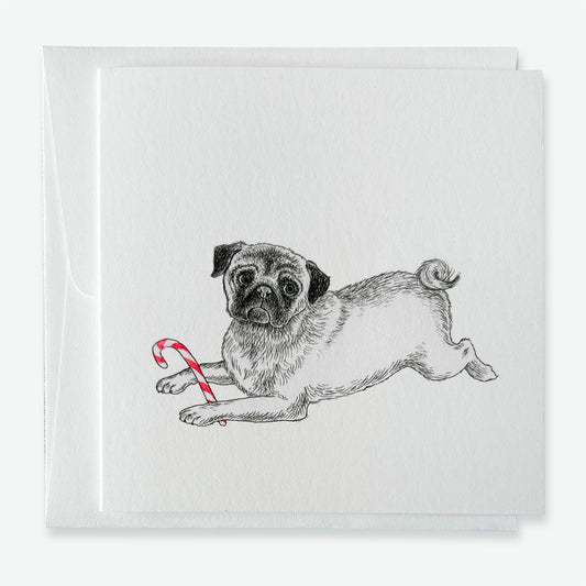 Brutus and the Candy Cane